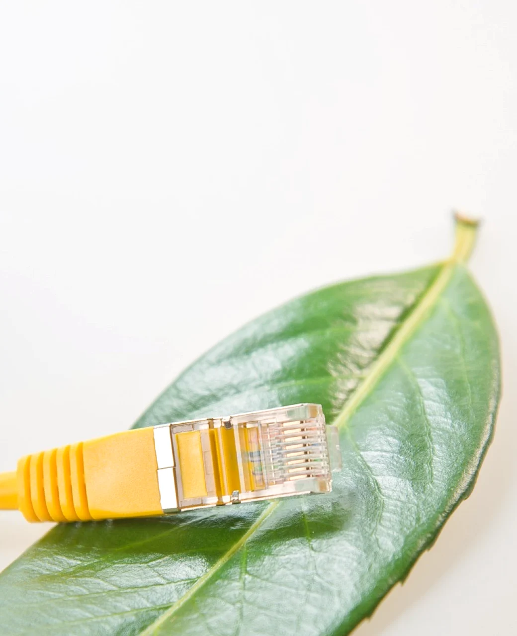 What 'signal path' means in a technical audit, in plain words